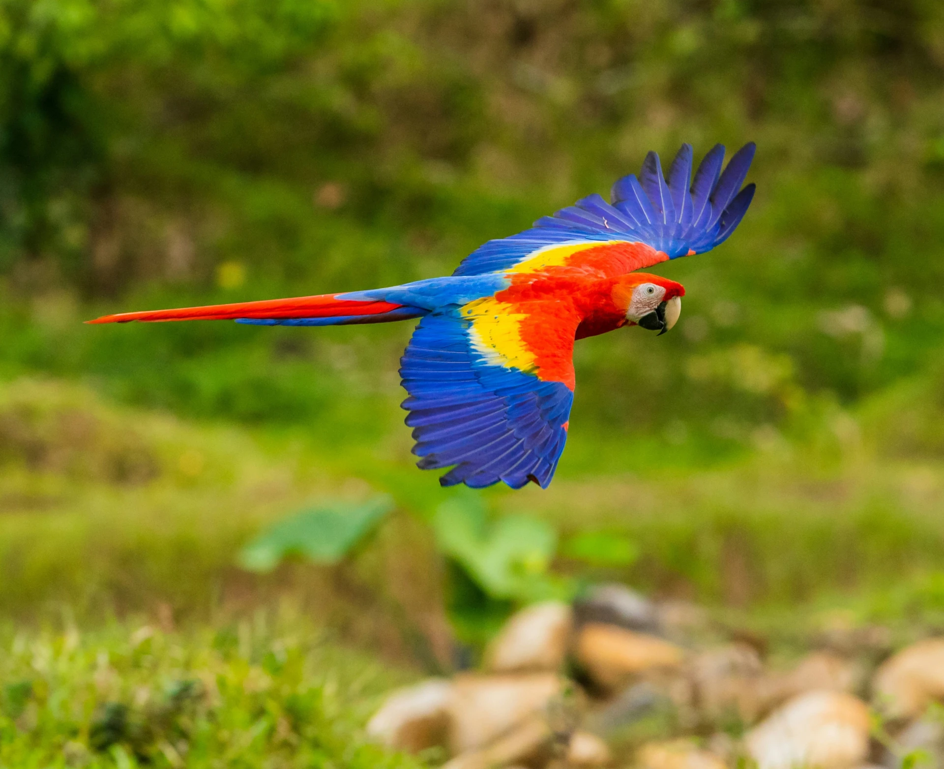 zdenek-machacek-P4n7NQNOmFU-unsplash